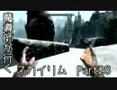 魔導師が行くスカイリムpart28
