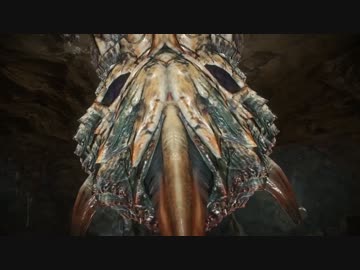 中華版ホモンスターハンター.mp1