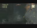 【DDON】武器チェン戦法+α【ネタ】