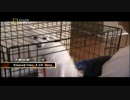 ホモと学ぶ犬のしつけ.s10e07