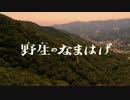 映画「野生のなまはげ」トレーラー