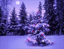 【演奏音源】シベリウス：樅の木＋オマケ.｡.:*･ﾟMerry-X'mas:*･ﾟ｡:.*