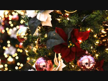 【オリジナル曲】影虎。 / Say "HELLO"【Kawaii Future Bass】