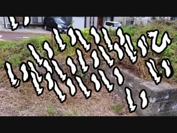 アイドルどうでしょう３８話　廃線ウォーカー③