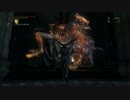 Bloodborne:DLC プレイ動画(7週目) －２－