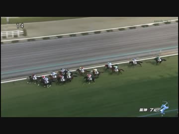 【これが関西期待の】サトノダイヤモンドたぁ！【プロ転向二戦目】