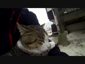 【南紀白浜空港を見に】ちょっと和歌山まで走ってみた！【温泉＆ぬこ】