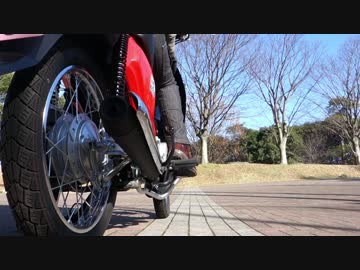 File_005 祝！普通二輪免許取得