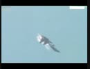 ロシア空軍がSu-35を極東に戦闘配備完了し千島列島上空を警戒警備飛行