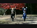 【コスプレ】神のまにまに　踊ってみたよ【刀剣乱舞】