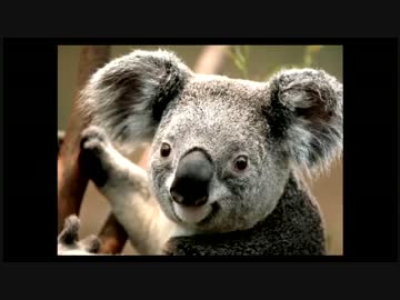 【KUN】あびつんの悩みついて考察【生放送】