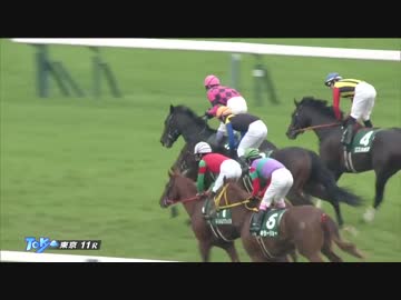 スマートオーディン　全レース