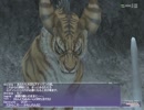 ＦＦ１１　アドゥリンの魔境Ｍ　６／１２