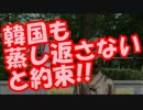 慰安婦問題、”日本軍の関与”を認め１０億円で手打ち!!