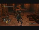 【初見】不器用が往くDARK SOULS II　part219