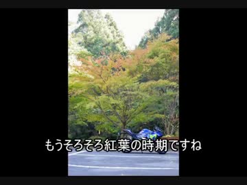 YZF-R25で神社巡り　伊勢・志摩