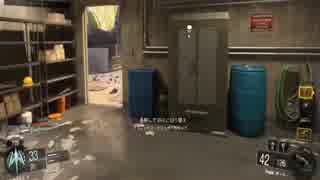 【COD:BO3】Vesperで駆け回るチームデスマッチ