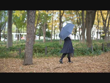 【肥満体が】愛藍傘 踊ってみた【２周年】