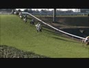 第138回中山大障害（J・GI）