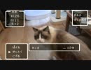 レオとしじみの新生活 Vol.9 　キャットタワーを侵略されたレオ
