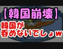 【韓国崩壊】在韓米軍の撤退が”予定通り新年”から実行！？