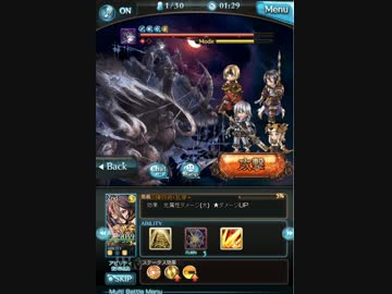 セレマグ武勲編成