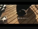 食いしん坊ネコさん、(たぶん)初めてまたたびを食べる