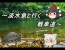 【WoT】淡水魚と行く戦車道11匹目【Luchs】