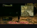 【DDON】走ってみた