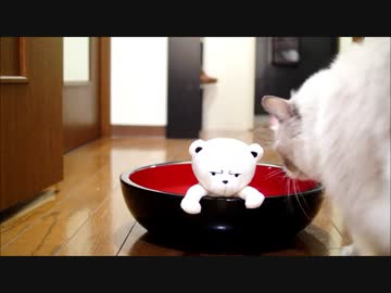 年越し蕎麦対決「そもそもおめえはそばじゃねえ！うどんだ！」