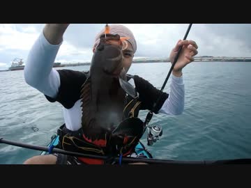 【泳がせ釣り】336のカヤックフィッシング　後半【釣り】