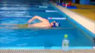 人気の クロール 動画 93本 ニコニコ動画