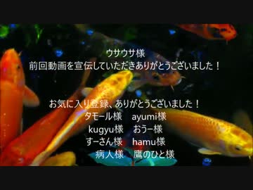 ゆっくり古寺巡礼　vol.43　紅葉特集＜５＞新座　平林寺