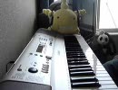 「渚」を気持ちよく弾いてみた