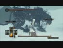 【ダークソウルⅡ】DLCエリアを協力プレイ~壁外の雪原 part1~