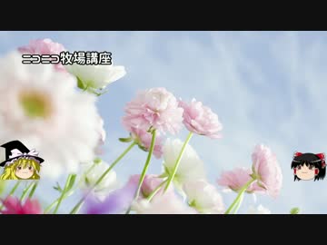 【牧場物語】リアルでもゲームでも牧場part43.5【ゆっくり実況】