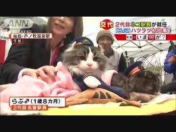 2代目ネコ駅長就任　初仕事でファンサービス