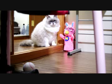 （あけましておめでとうございます）こいつ直接脳内に…！