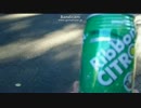 SD氏　リボンシトロンを飲む