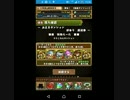 【パズドラ】孫悟空で初詣いってきました【お正月ダンジョン】