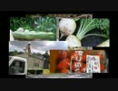 ニコニコ農業動画