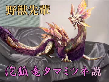 野獣先輩タマミツネ説.mhx