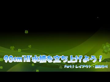 90cm"HI"水槽を立ち上げよう！　Part.1