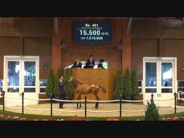【競馬】セレクトセール動画　マルペンサの2013(馬名サトノダイヤモンド)