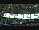 アイナメ釣行50アップ！2015年釣り納めにて