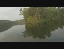 なぜこんな場所に？（＃20150928）