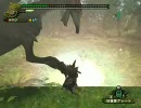 【MHF】 ヒプノック繁殖期 双剣ソロ (2/2)