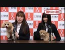 【ホームランラジオ】第2回　契約更改
