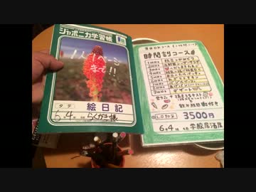 学校を再現した居酒屋『6年4組 渋谷第一分校』