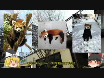 ゆっくり達のミュージアム探訪Part7【京都市動物園】